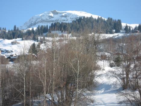 Ski 076.jpg   33kb   26.03.2021 22:29:40